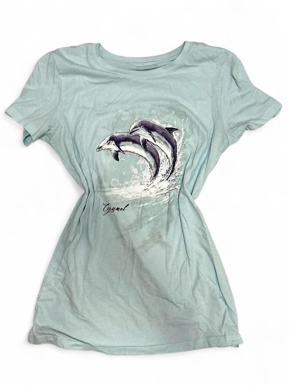 Seafoam Dolphin Graphic Tee